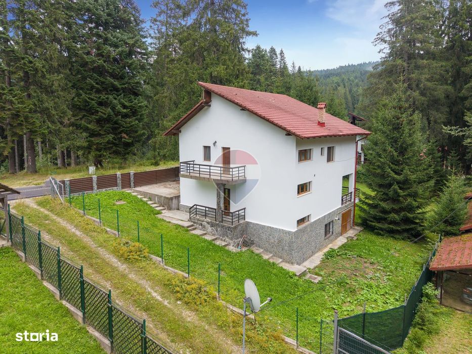 Casa 5 camere | viata la marginea padurii, intre brazi si liniste