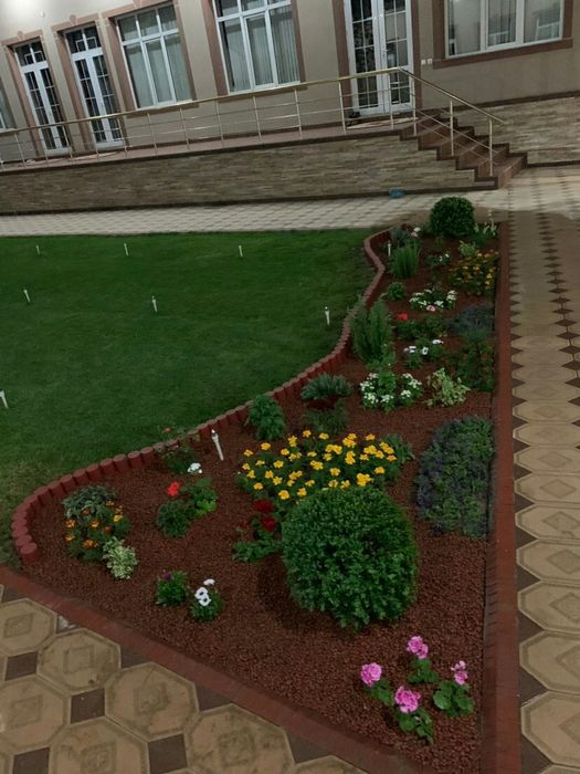 Газон рулонный и семена Цена за 1 рулон*