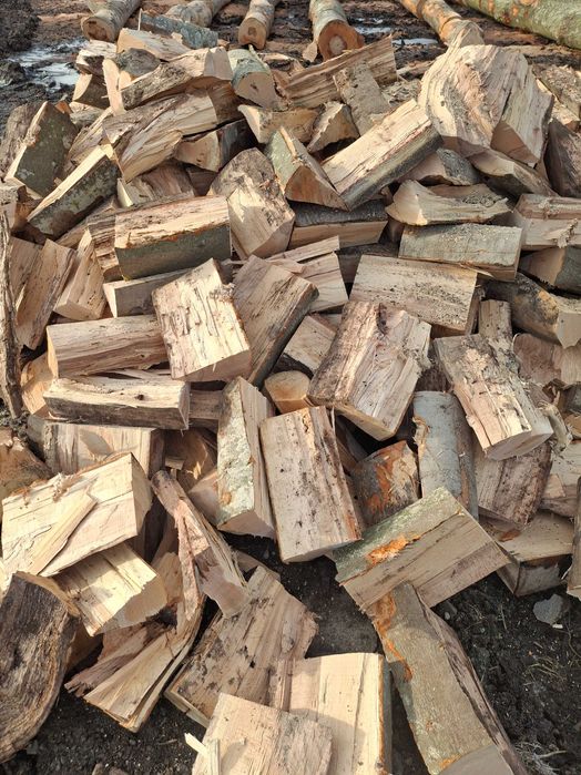 Lemne de fag taiate la orice dimensiune doriti.