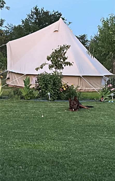 Cort glamping 4 metri ca nou