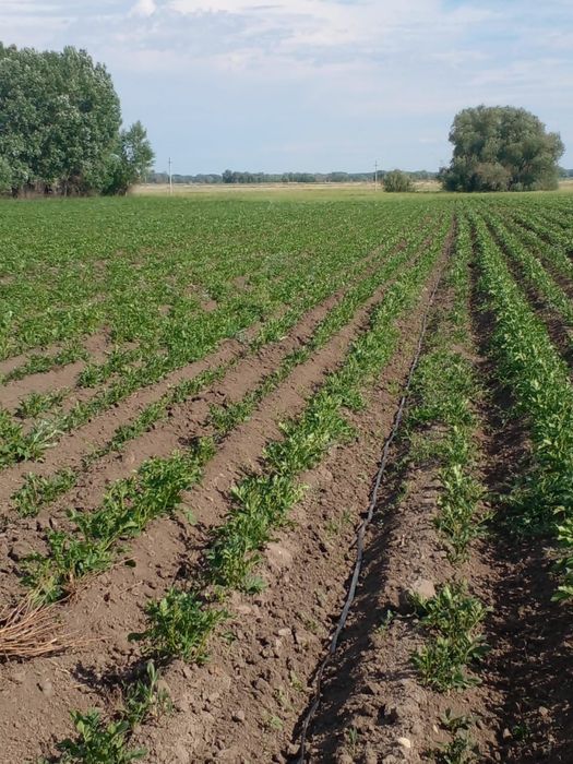 Продам христианское хозяйсво