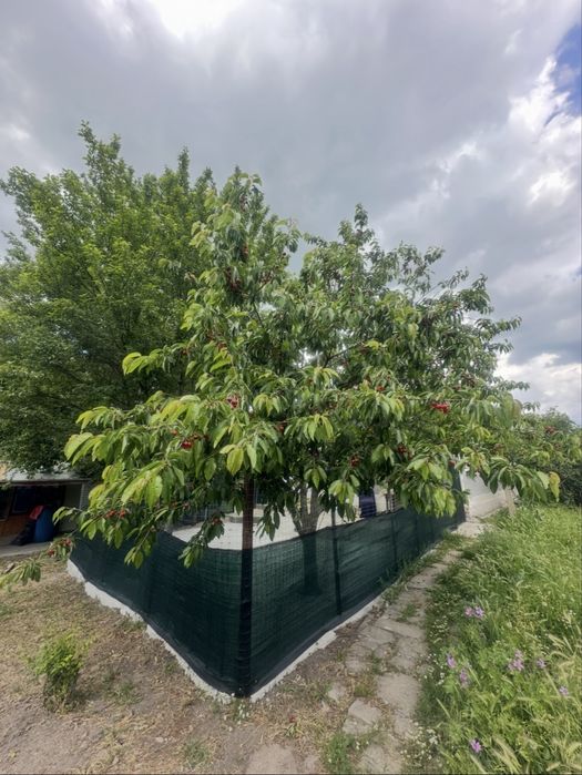 Продава се Къща в Бургас, Меден рудник - зона В - 100 кв.м за 450 €/кв.м - Снимка #3