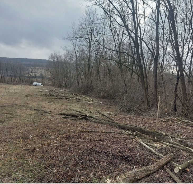 Servicii grädinarit /întreținere teren/sapaturi/defrisari