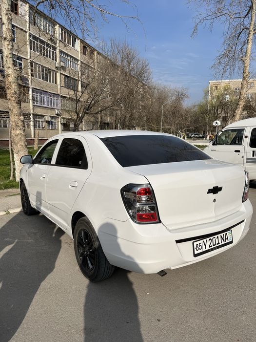 Cobalt midnight 2025