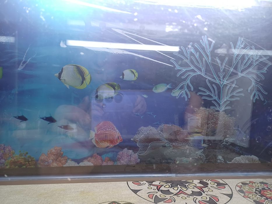 Продам аквариум 100 литров