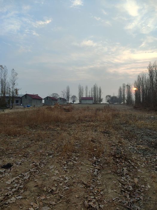 24 sotih yer sotiladi yangiyo'l tumani tumanida