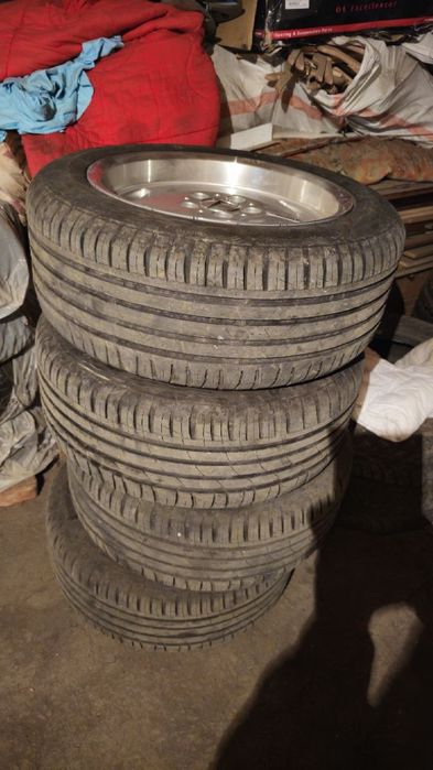 R16 amg черепахи