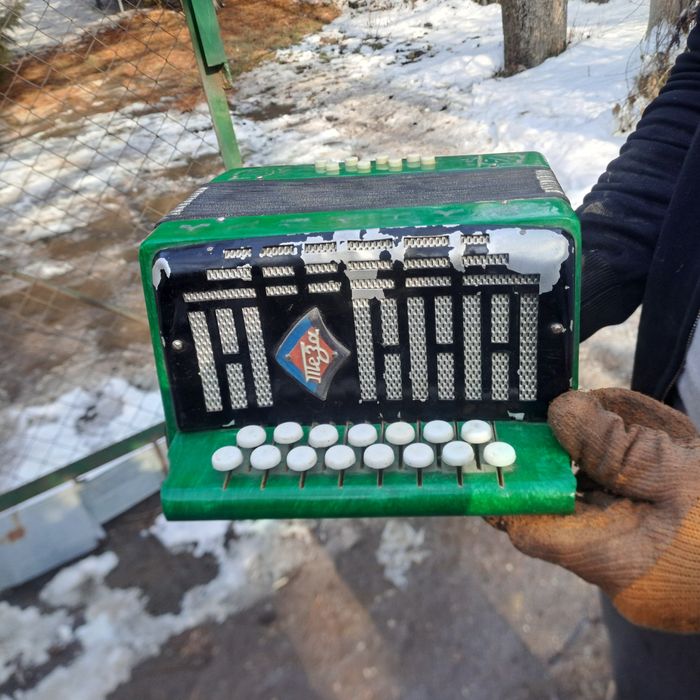 Продаю полностью рабочаю Гормошку