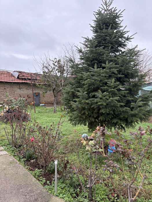 Продава се Къща в с. Ръжево Конаре, Област Пловдив - 62 кв.м за 461 €/кв.м - Снимка #1