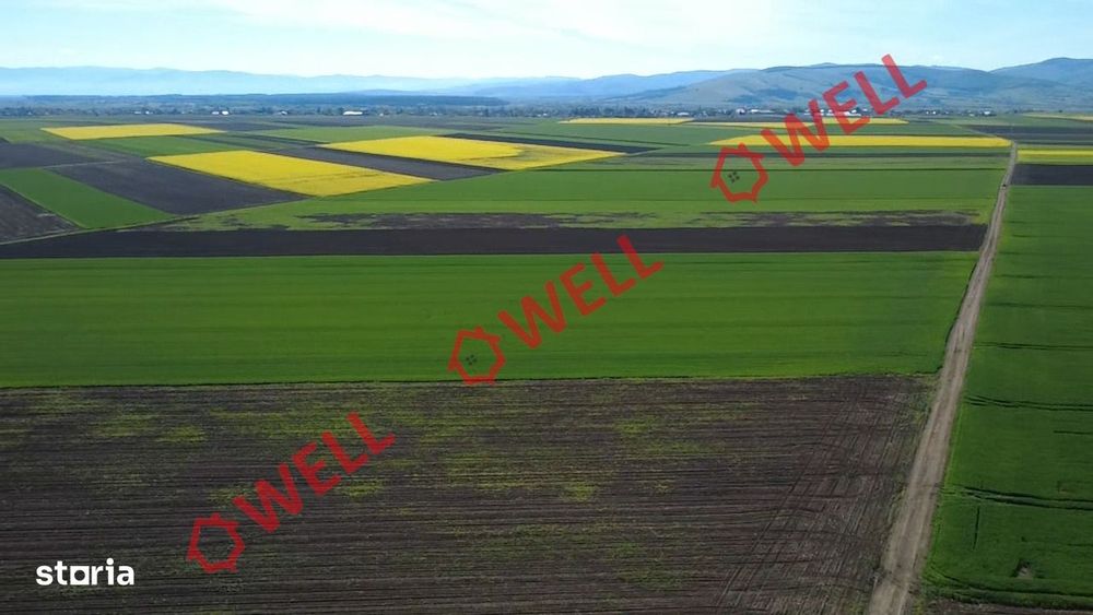 5 terenuri agricole de vânzare în Sântionlunca!
