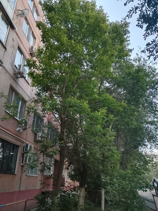 1к.кв р-он  Красный крест