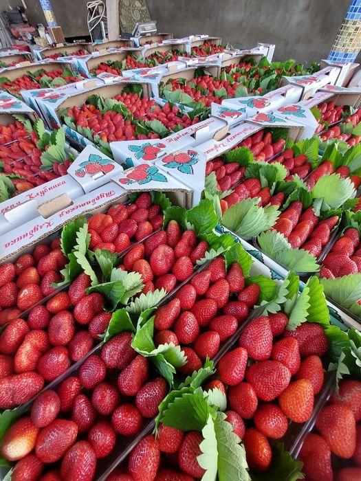 Теплицы под ключ.