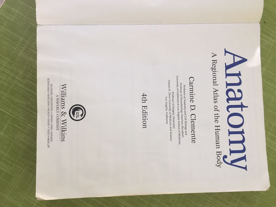 Анатомия человека