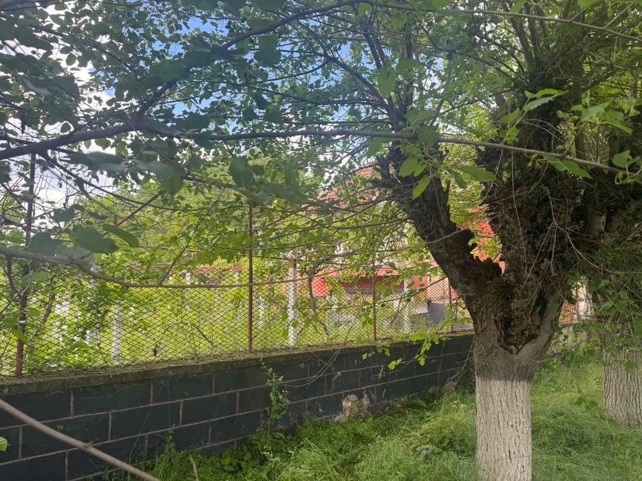 Продава се Къща в с. Малорад, Област Враца - 115 кв.м за 127 €/кв.м - Снимка #11