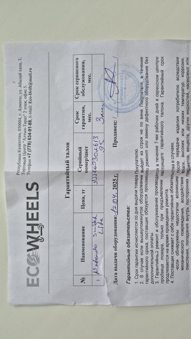 Nintendo switch lite чипованная