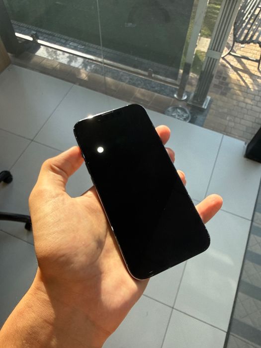 iPhone 13 Pro apple
