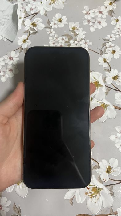 iPhone 16 pro max