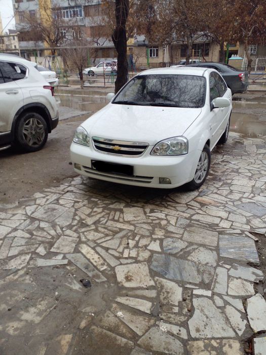 Lacetti kraskalari rodnoy