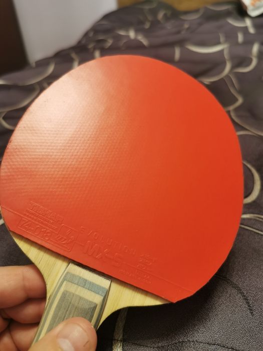 Paleta Butterfly Viscaria