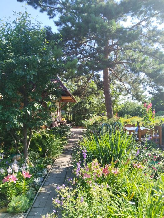 Продам дачу общесво»Эврика»