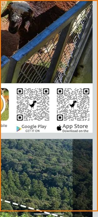 Ловна камера без сим карта