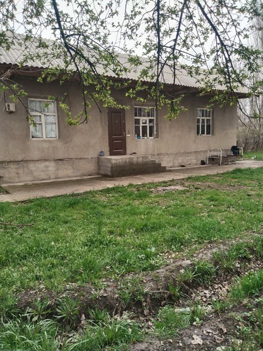 Uy xovli arzon uchaska