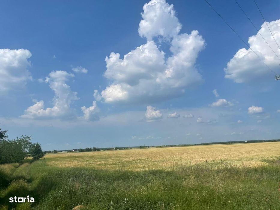 Vanzare teren intravilan Cernica_Tânganu, lot 954mp