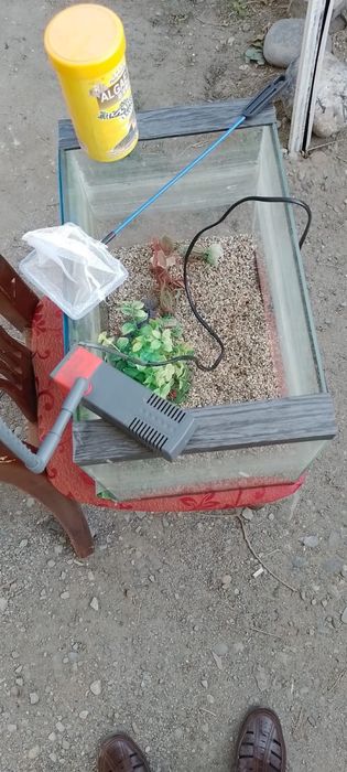 Аквариум продается