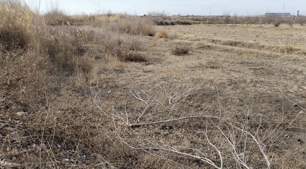 Noturar yer sotiladi (drujba Obodda)