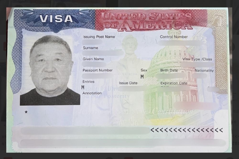 Виза в США B1 B2 F1
