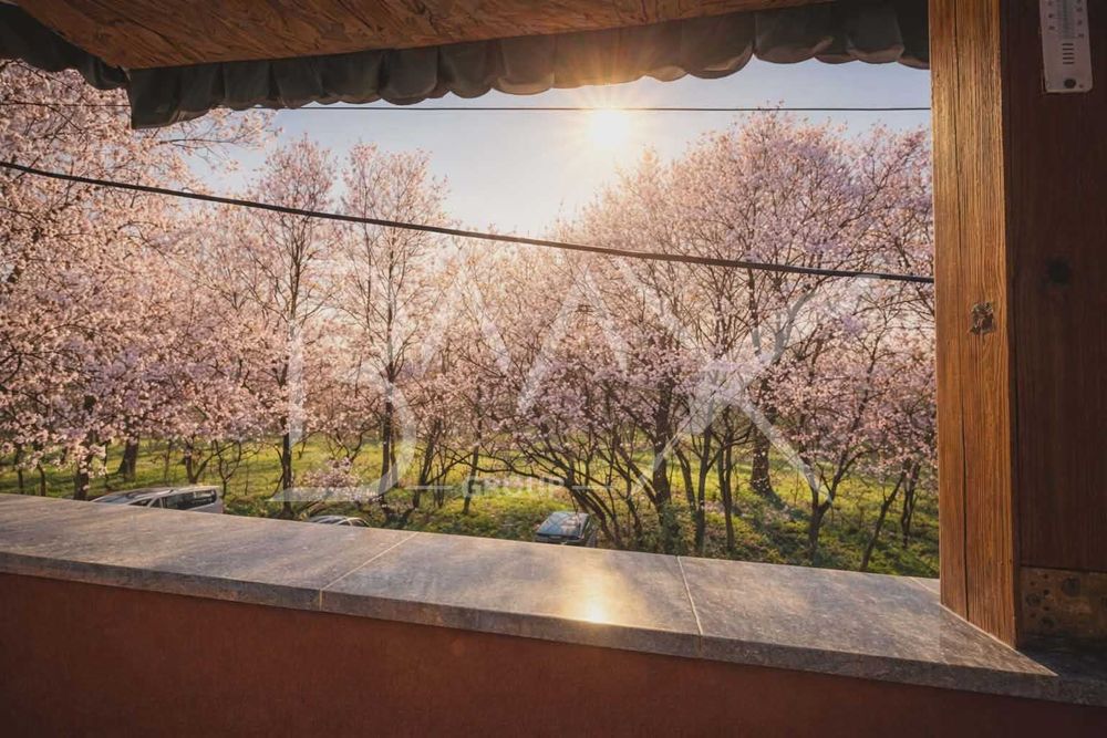 Апартамент Овча купел