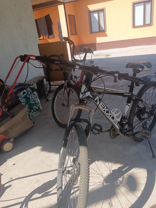 Велик сатамын.   .. . .