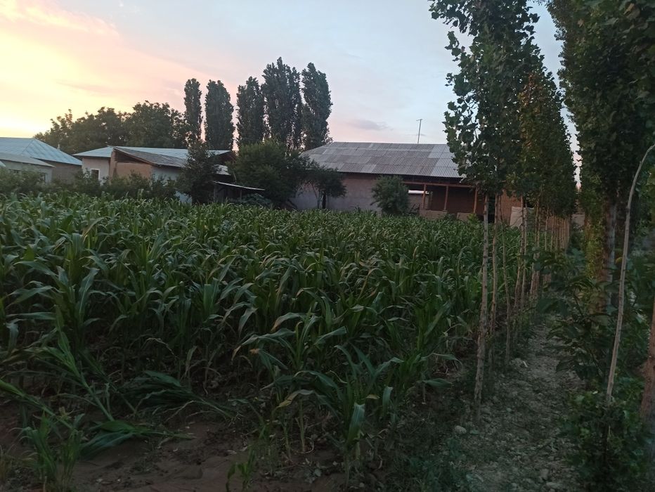 Уй сотилади 15 сотих