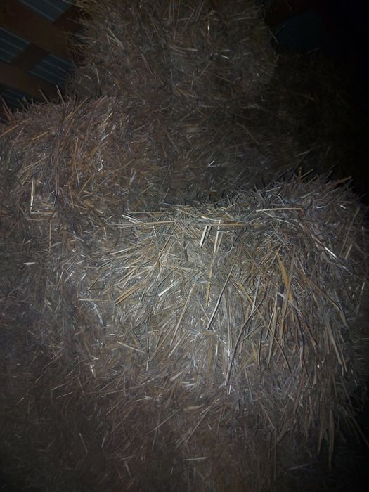 Baloți paie curate ținute la adăpost