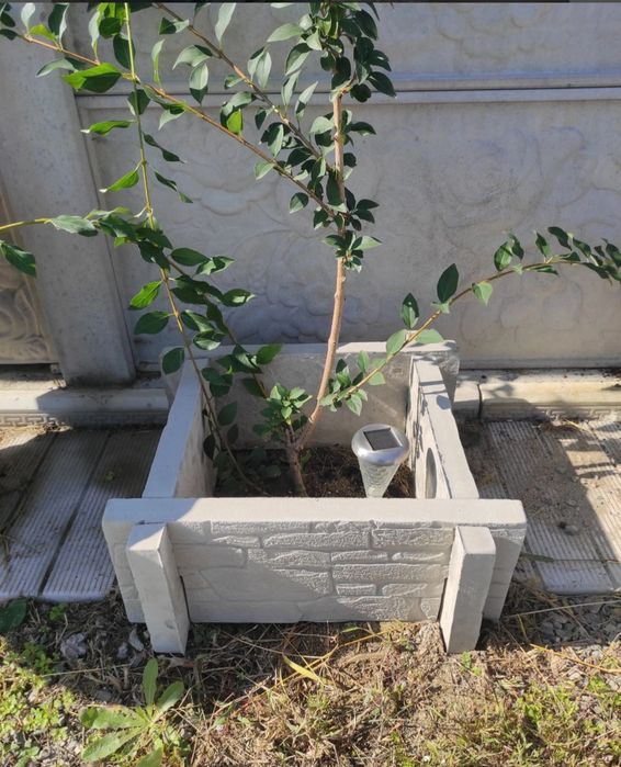 Jardinieră din beton