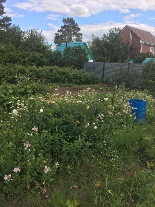 Продам дачу в СО Садовод