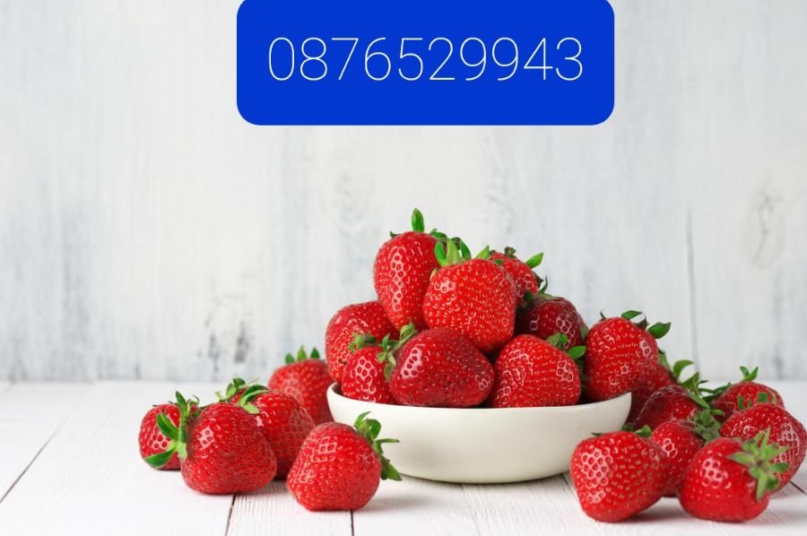 елитен расад эа ягуди