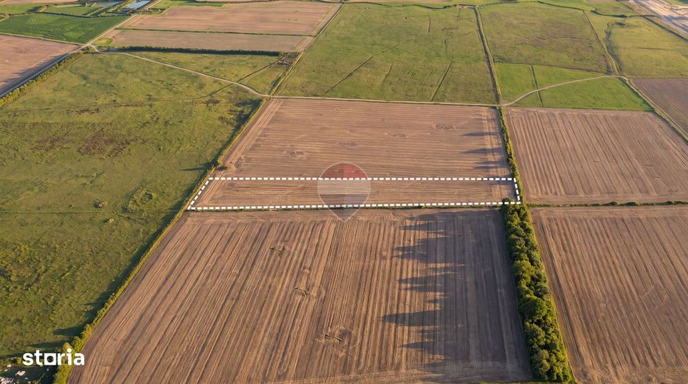 Teren extravilan 12,500mp Dumbrava / Prahova