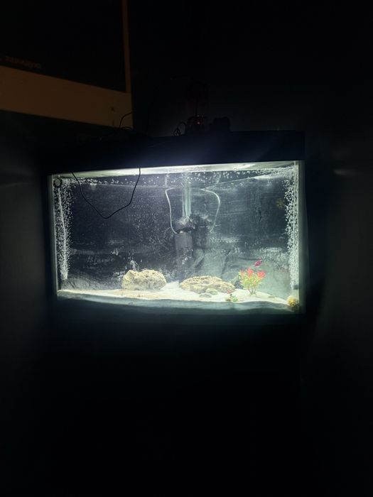 akvaryum obmen 250 litr
