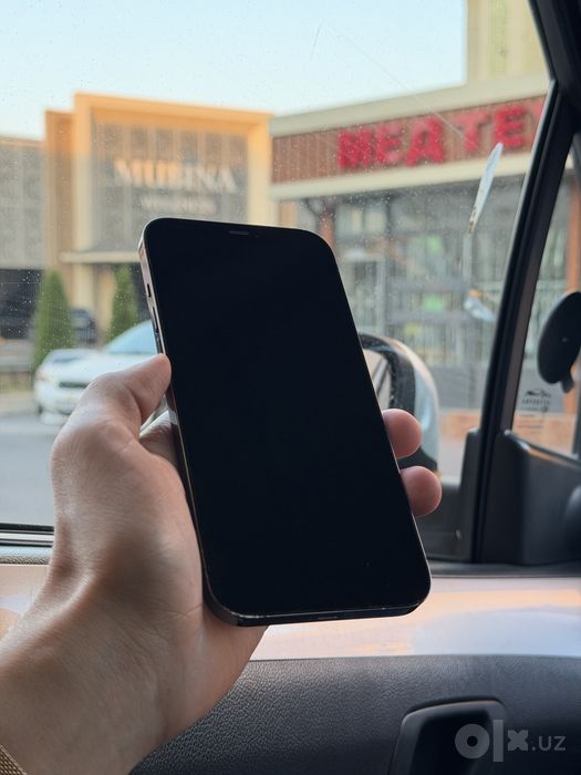 IPhone 12 Pro Max Blue
