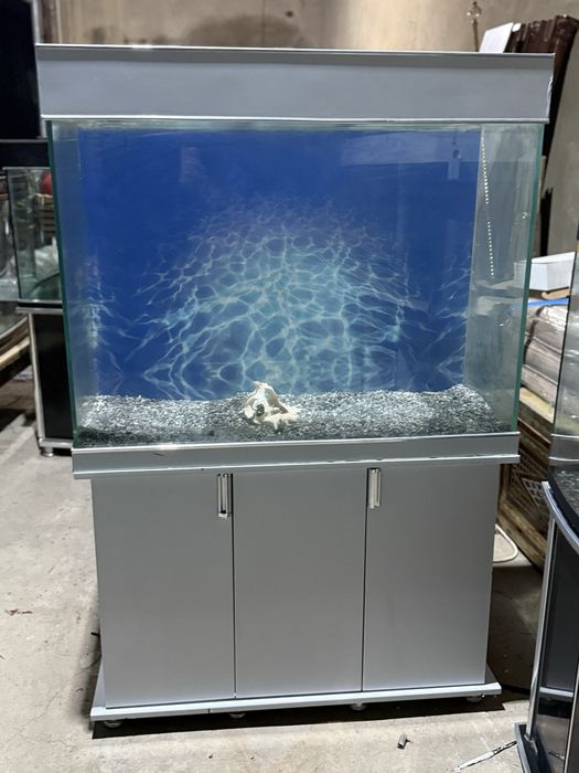 Akvarium sotiladi  uzunligi 100 sm boyi 85 sm eni 36 sm 10 mm oynadan