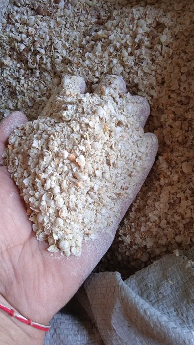 Овёс отходы отруби