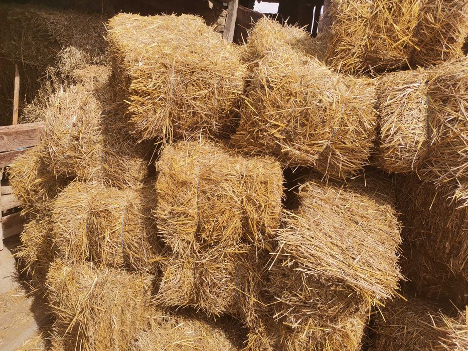 Малки бали ЖИТНА СЛАМА И просо