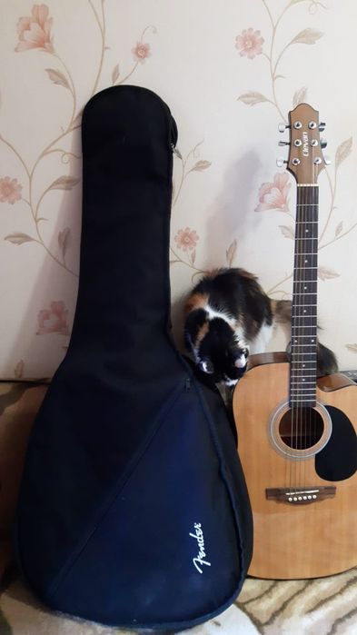 Профессиональная  гитара . Новая . С чехлом