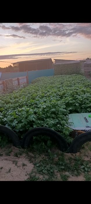 Продам дом Аманкарагай