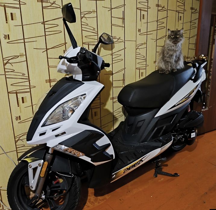 Скутер PEDA Virtuality