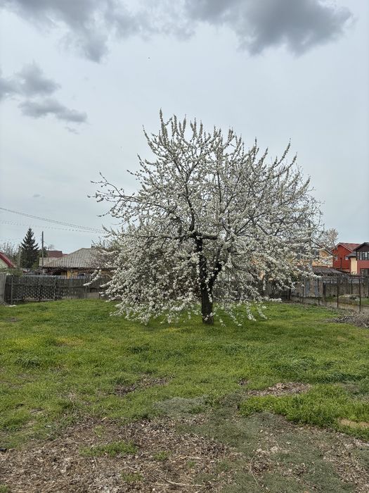Vând teren in Constanța, in Valul lui Traian
