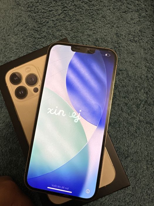 iPhone 13 pro max