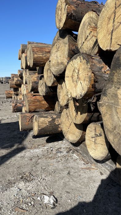 Продаю пиломатериалы Лес