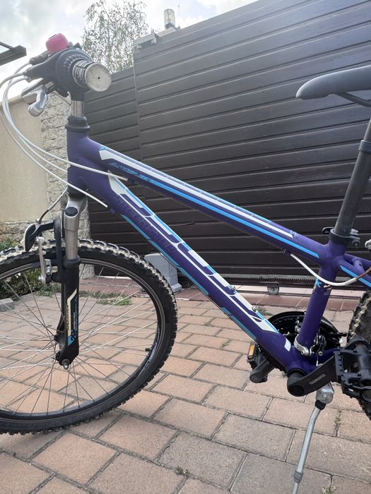 Bicicleta CROSS Speedster -junior - 320mm
